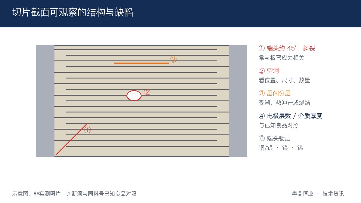 MLCC切片截面可观察的电极层、介质、空洞与裂纹